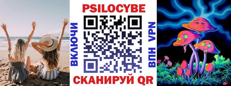 Галлюциногенные грибы мицелий  блэк спрут ссылки  Боготол 